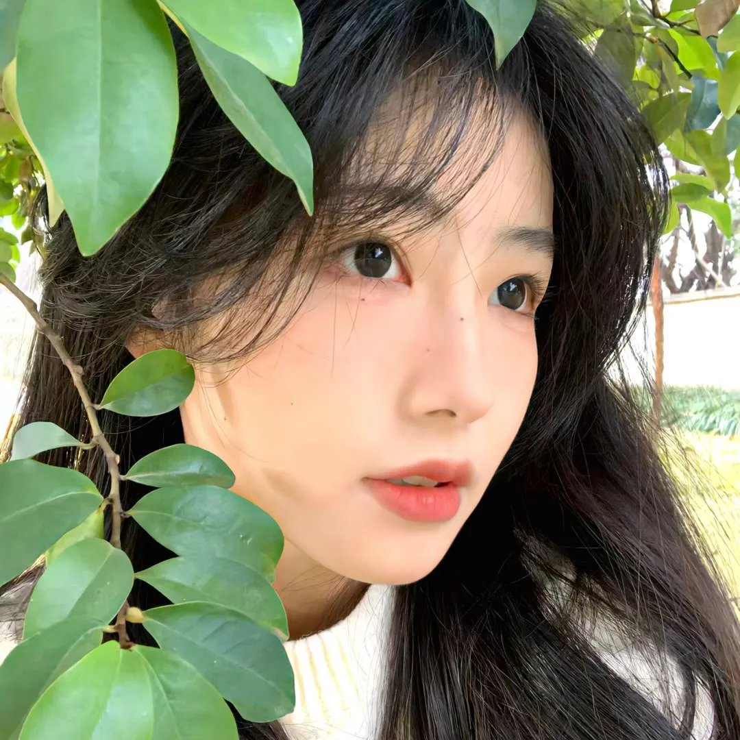 反伪先锋
